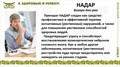 НАДАР — Виагра для ума! 1763
