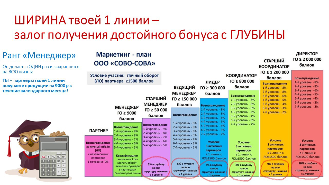 Маркетинг-план Сово-Сова